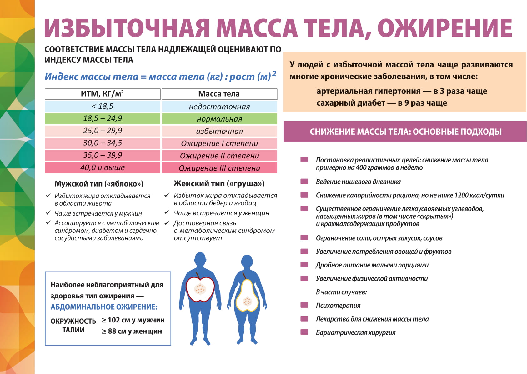 Здоровый образ жизни и профилактика избыточной массы тела проект